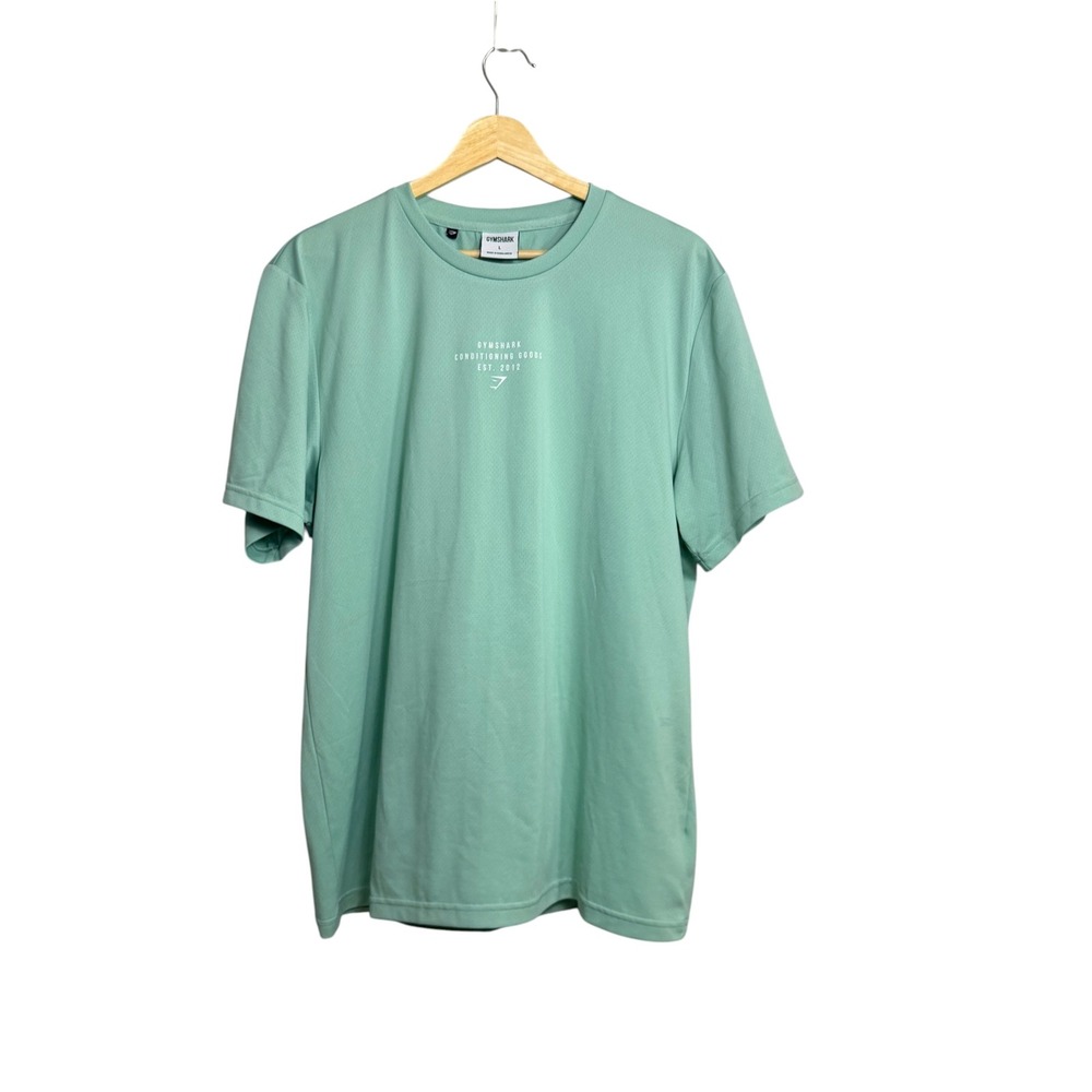 Gymshark Mens Large Mint Green Conditioning Goods Graphic Training T-Shirt A5A5K